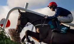 Jokey O'Sullivan, yarış sırasında düşerek hayatını kaybetti