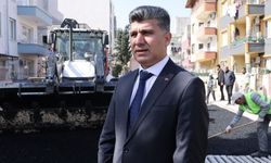 Başkan Vekili Şener, asfaltlama çalışmalarını denetledi