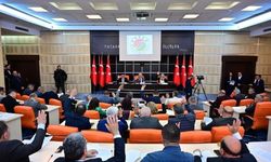 ‘Hizmete gitsin, borca gitmesin’