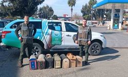 Horozlar koruma altına alındı