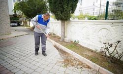 Konyaaltı'nda bayrama özel cami temizliği