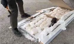 Uyuşturucu sevkiyatına polis engeli