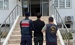 Aranan 279 kişi yakalandı