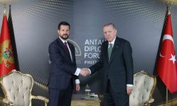 Cumhurbaşkanı Erdoğan, Milatoviç ile buluştu