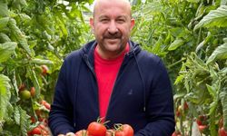 Domates üreticisi çok dertli 