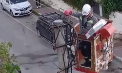 Kumru için kurtarma operasyonu