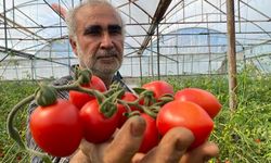 Üreticiden tepki: Farkı kim yiyor 