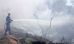 Zeytinpark'ta korkutan yangın