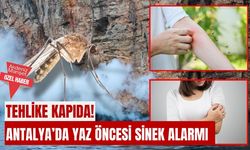 Antalya’da yaz öncesi sinek alarmı: Tehlike kapıda!