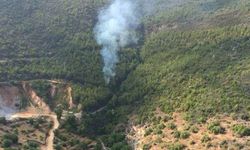 Alanya’da 2 dönüm orman alanı yandı 