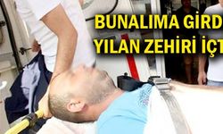   Bunalıma girdi yılan zehiri içti  