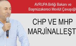  CHP ve MHP marjinalleşti  