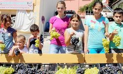 İbradı’da festival var  