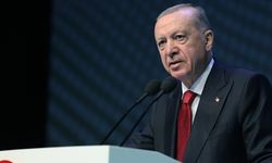 Erdoğan: "Ukrayna'da barış zemininin oluşturulması için kritik bir dönemeçteyiz''