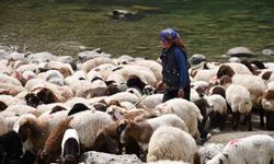 Bir çocuğun sessiz çığlığı: "Hiç oyuncağım olmadı"