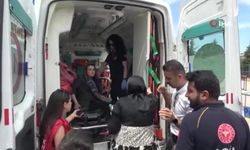 Etkinlikte pitbull dehşeti: Bir kadın yaralandı