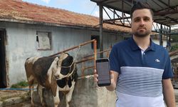 Sosyal medyada gördüğü kurbanlık danaları almak isterken 200 bin TL dolandırıldı