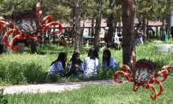 Keneden ölümler için 'mRNA aşısı' umudu