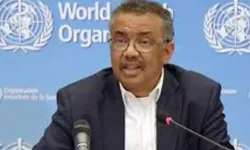 DSÖ: Gazze'deki sağlık ihtiyaçları endişe verici boyutta
