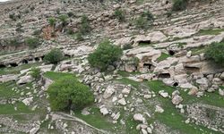 Gabar Dağı etekleri turizme göz kırpıyor