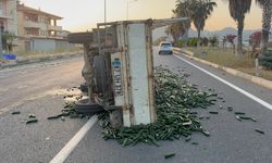 Salatalıklar yola savruldu