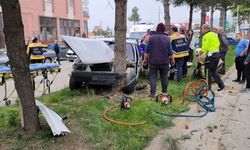 Kontrolden çıkıp ağaca çarptı
