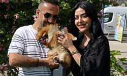 Sahipleri sevince boğuldu