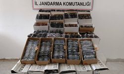 Binlerce kaçak gözlük ele geçirildi