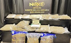 Skunk operasyonu: Antalya'da zehir tacirlerine büyük darbe