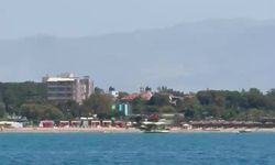 Akdeniz’de misafir: Akdeniz foku görüntülendi
