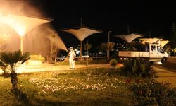 Alanya’da zirai müdahale