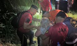 Çalılıkların arasında yatarken bulundu