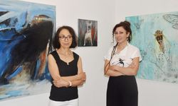 'Yaşam- ölüm ve böcek' sergisi