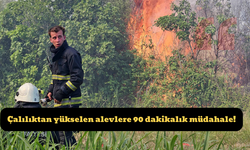 Çalılıktan yükselen alevlere 90 dakikalık müdahale!