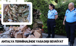 Antalya terminalinde yasa dışı sevkiyat