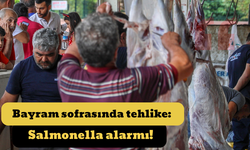 Bayram sofrasında tehlike: Salmonella alarmı!