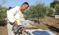 Doktorun annesine bal tavsiyesi hayatını değiştirdi
