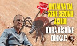 Antalya'da kene sezonu açıldı: KKKA riskine dikkat!