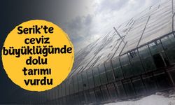 Serik'te ceviz büyüklüğünde dolu tarımı vurdu