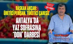 Başkan Akçan: Üretici perişan, tüketici çaresiz… Antalya'da yaz sofrasına ‘don’ darbesi