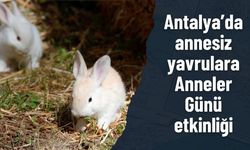 Antalya’da annesiz yavrulara Anneler Günü etkinliği