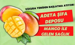 Adeta şifa deposu! Mango ile gelen sağlık