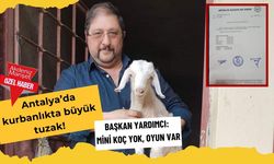 Antalya'da kurbanlıkta büyük tuzak! Başkan Yardımcı: Mini koç yok, oyun var