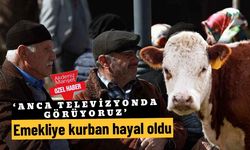 ‘Anca televizyonda görüyoruz’: Emekliye kurban hayal oldu