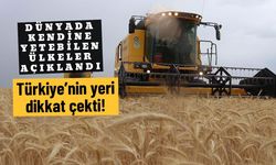 Dünyada kendine yetebilen ülkeler açıklandı: Türkiye’nin yeri dikkat çekti!