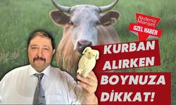 Kurban alırken boynuza dikkat!