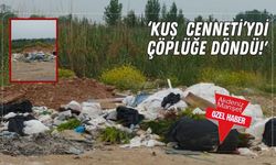 ‘Kuş cenneti’ydi çöplüğe döndü!'