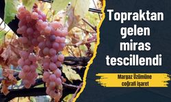 Topraktan gelen miras tescillendi: Margaz Üzümüne coğrafi işaret