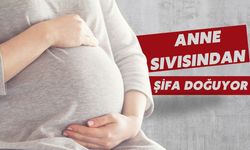Anne sıvısından şifa doğuyor