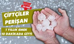 Çiftçiler perişan: 1 yıllık emek 10 dakikada gitti